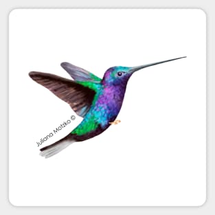 Hummingbird Magnet